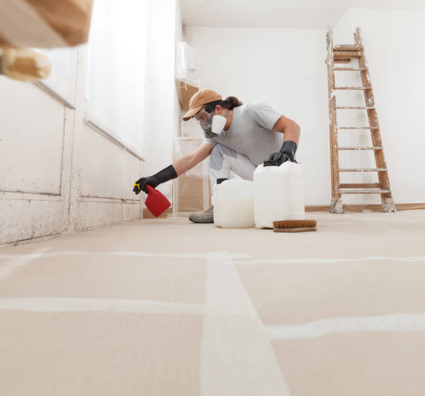 Reliable Dell Rapids, SD Mold Removal Solutions
