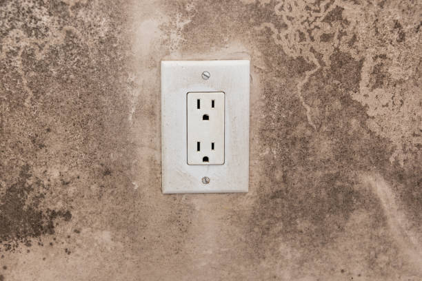 Best Emergency Mold Remediation  in Dell Rapids, SD